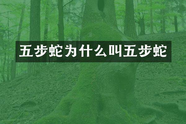 五步蛇为什么叫五步蛇
