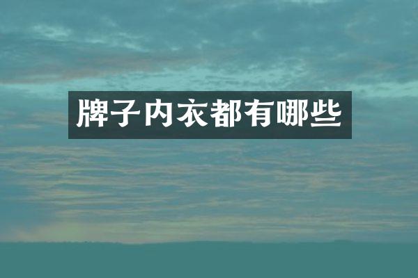 牌子内衣都有哪些