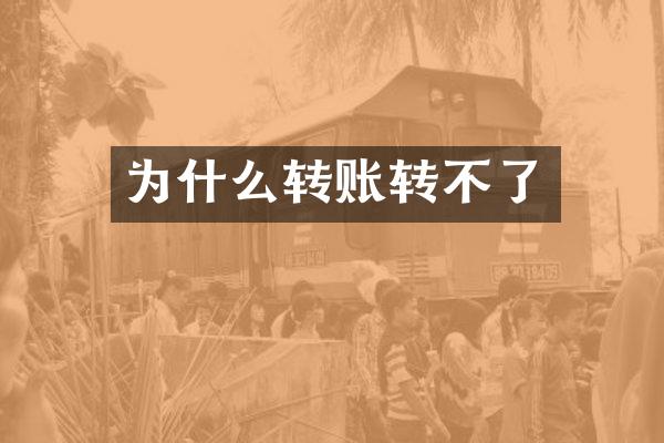 为什么转账转不了