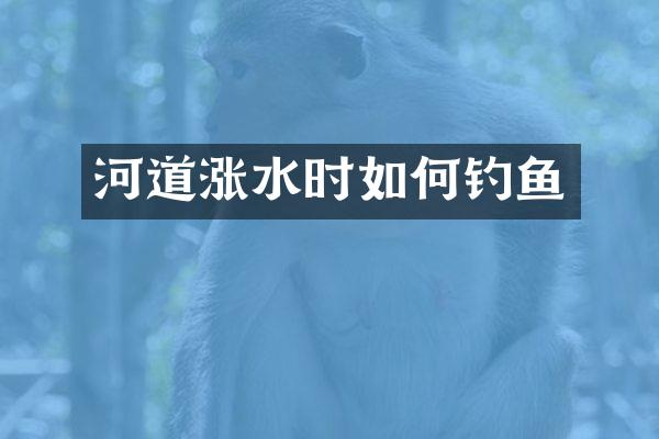 河道涨水时如何钓鱼