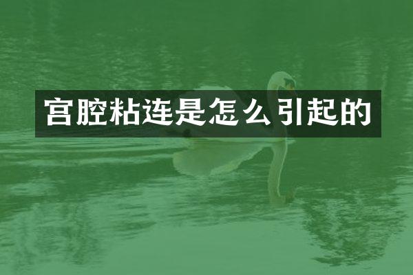 宫腔粘连是怎么引起的