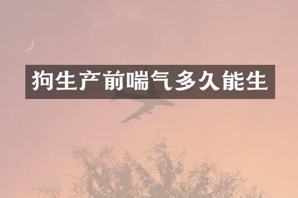 狗生产前喘气多久能生