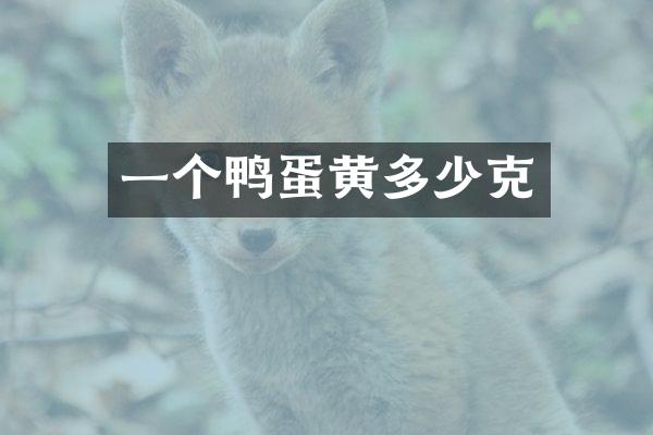 一个鸭蛋黄多少克