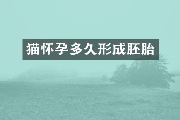 猫怀孕多久形成胚胎