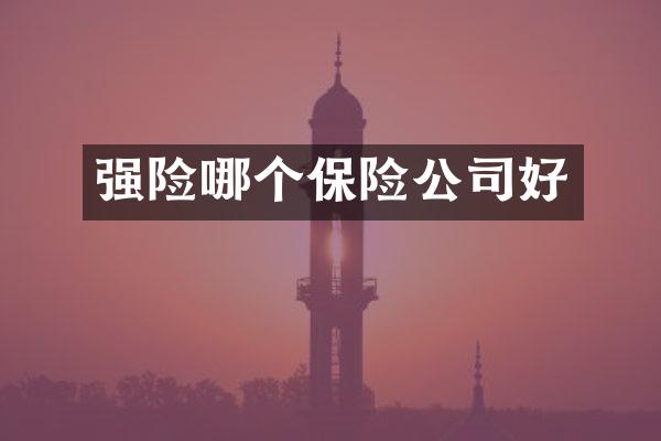 强险哪个保险公司好