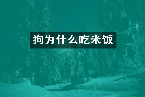 狗为什么吃米饭