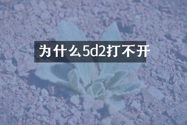 为什么5d2打不开