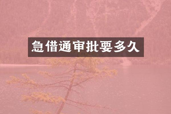 急借通审批要多久