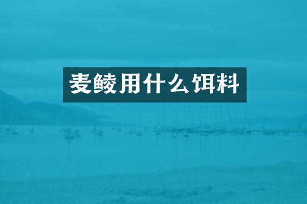 麦鲮用什么饵料