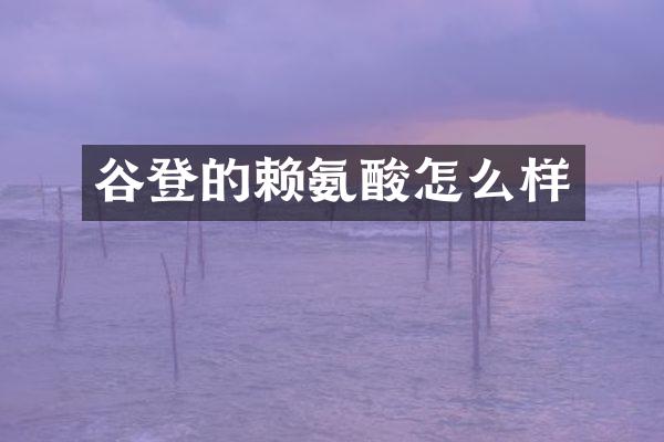 谷登的赖氨酸怎么样