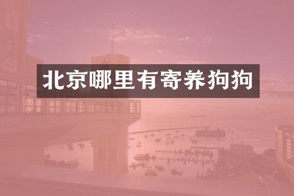 北京哪里有寄养狗狗