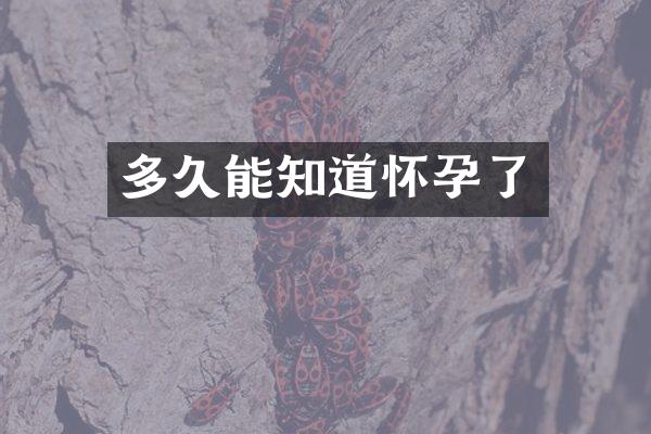 多久能知道怀孕了