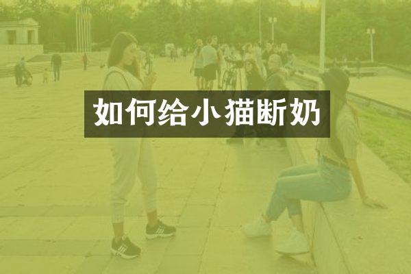 如何给小猫断奶
