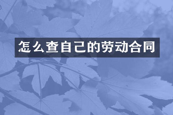 怎么查自己的劳动合同