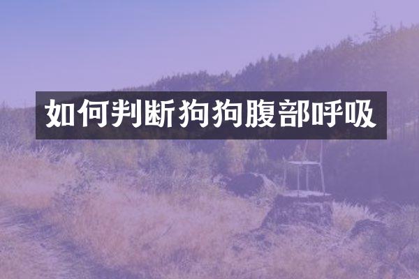 如何判断狗狗腹部呼吸