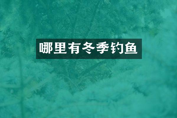 哪里有冬季钓鱼