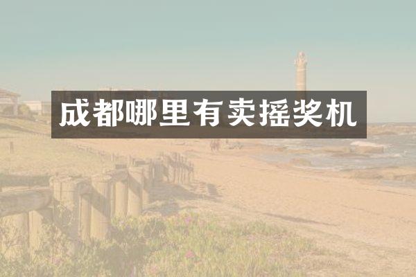成都哪里有卖摇奖机