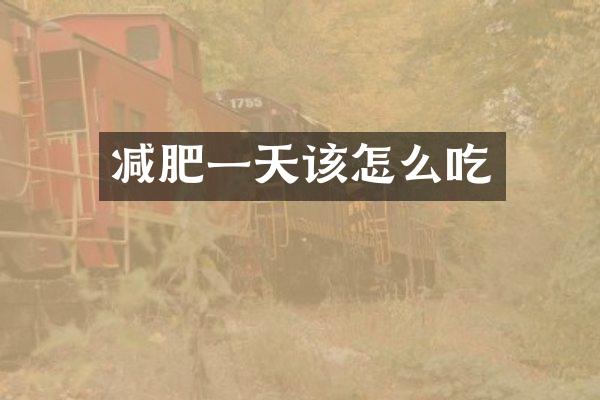 减肥一天该怎么吃