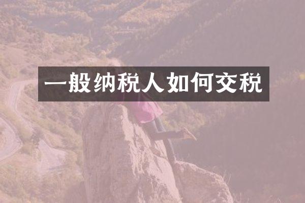一般纳税人如何交税