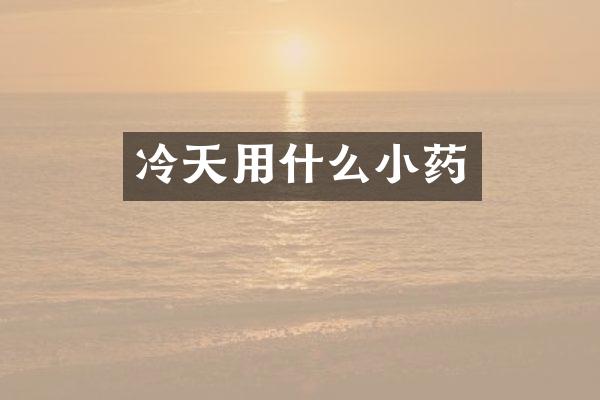 冷天用什么小药