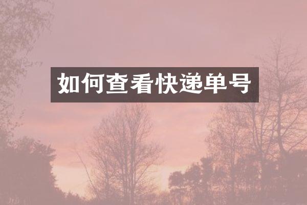 如何查看快递单号