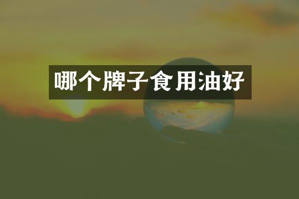 哪个牌子食用油好