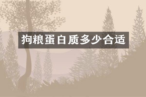蛋白质多少合适