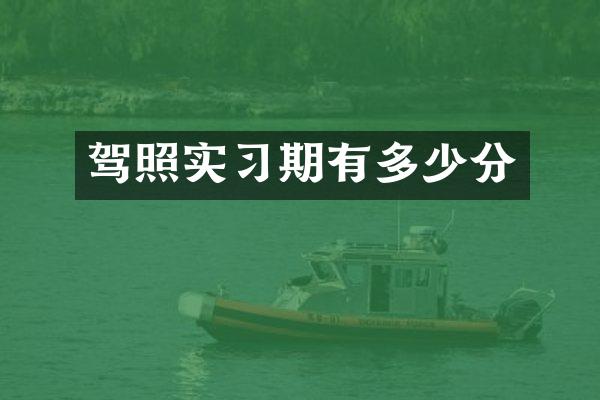 驾照实习期有多少分