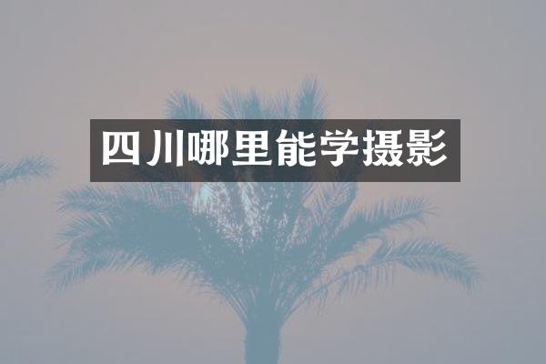 四川哪里能学摄影