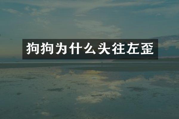 狗狗为什么头往左歪