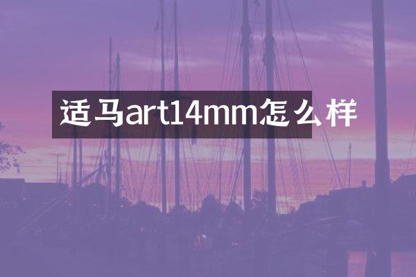 适马art14mm怎么样