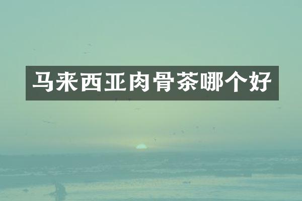 马来西亚肉骨茶哪个好