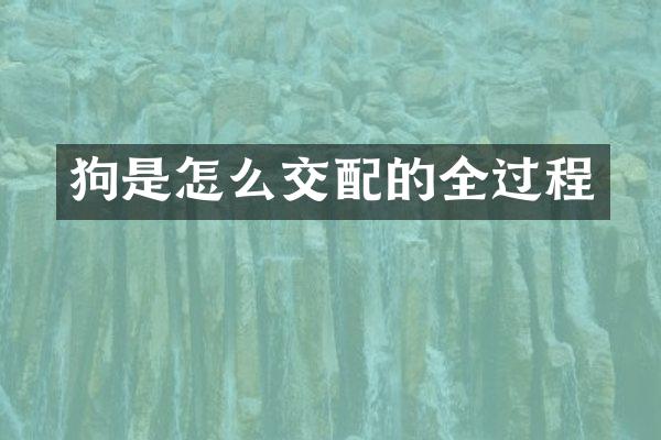 狗是怎么交配的全过程