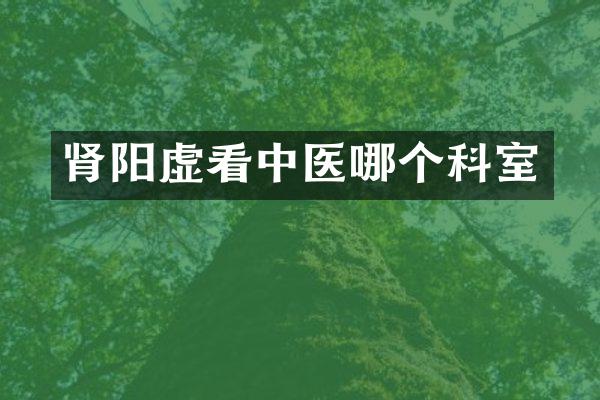 肾阳虚看中医哪个科室