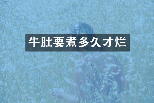 牛肚要煮多久才烂