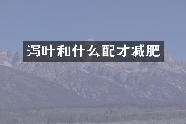 泻叶和什么配才减肥