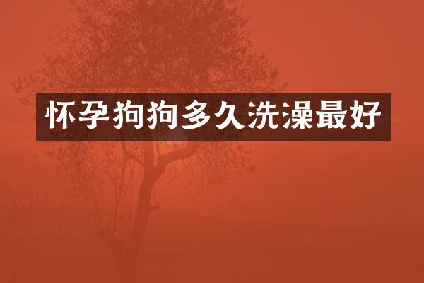 怀孕狗狗多久洗澡最好