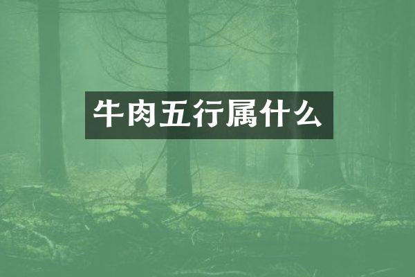 牛肉五行属什么