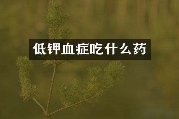 低钾血症吃什么药