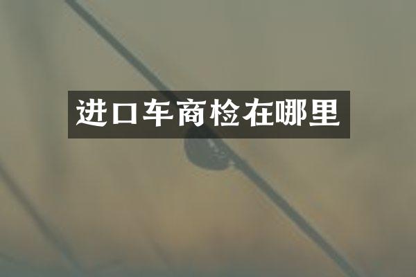 进口车商检在哪里