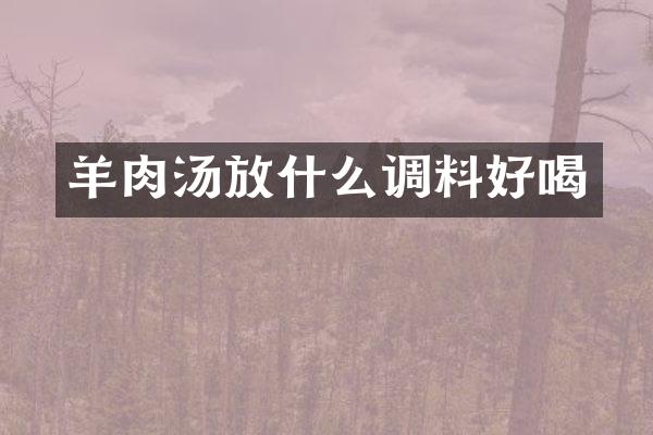 羊肉汤放什么调料好喝