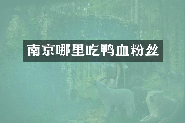 南京哪里吃鸭血粉丝