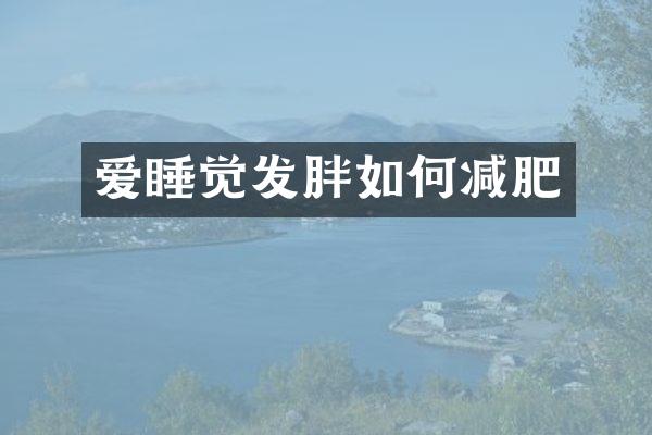 爱睡觉发胖如何减肥