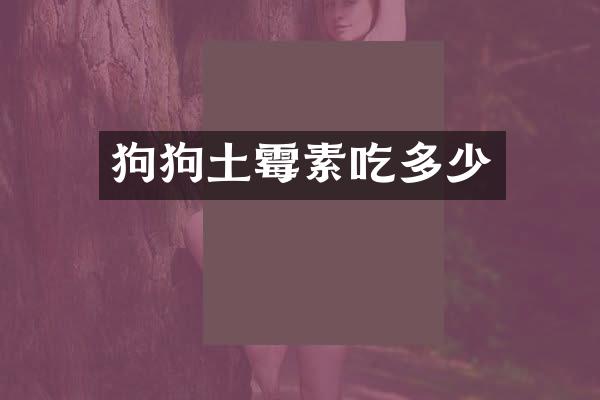 狗狗土霉素吃多少
