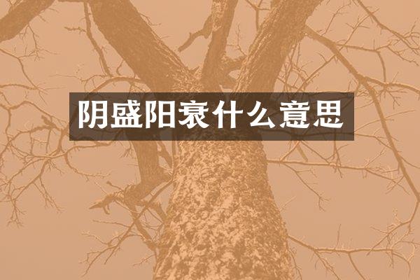 阴盛阳衰什么意思