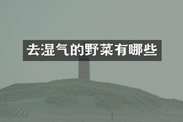去湿气的野菜有哪些