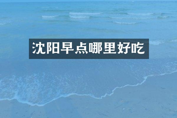 沈阳早点哪里好吃