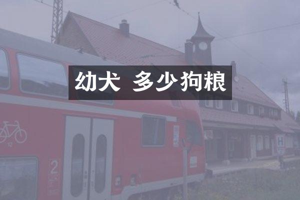 幼犬 多少狗粮