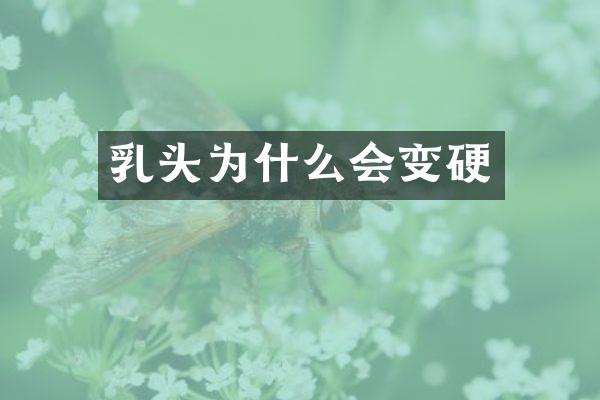 为什么会变硬