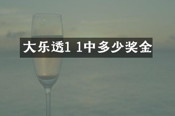大1 1中多少奖金